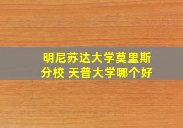 明尼苏达大学莫里斯分校 天普大学哪个好